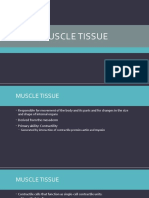 HistoLec Muscle