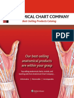 Anatomical Chart Company: Our Best-Selling Anatomical Products Are Within Your Grasp