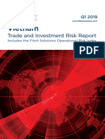 Vietnam Trade and Investment R