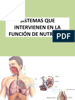 Sistemas Que Intervienen en La Función de Nutrición