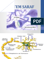 Sistem Saraf