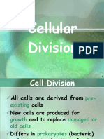  Mitosis Meiosis