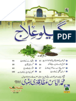 Gharelu Ilaj PDF