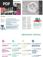 Mosaico Social-Programa Provisório