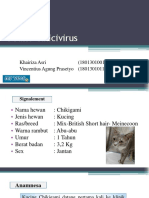 Feline Calicivirus6