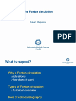 TH 13 F Meijboom Fontan circulation.pdf