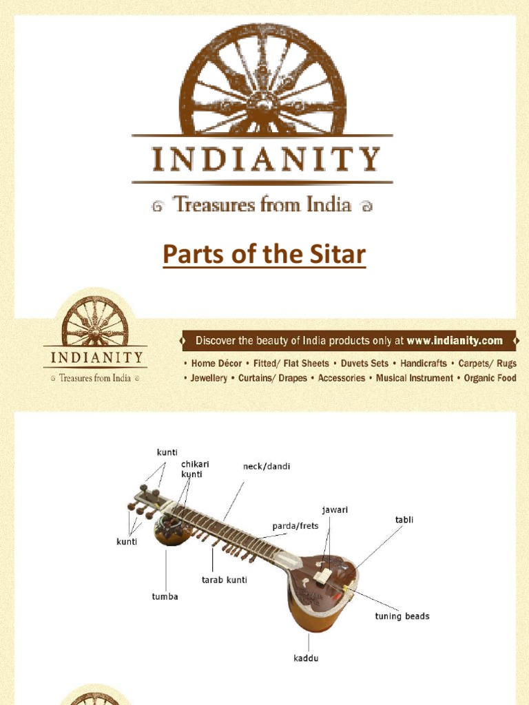 Anatomy of the Sitar Explained | PDF | Necked Lutes | Celtic Musical ...