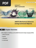 ANSYS Mechanical Advances (Using Command Objects) : APDL Commands