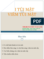 Sỏi túi mật