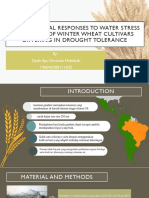 Effect of Water-Stress in Wheat