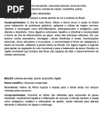 Plantas Medicinais - Exposição Multifeira