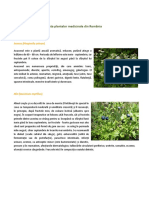 lista-plante-medicinale_bun.pdf