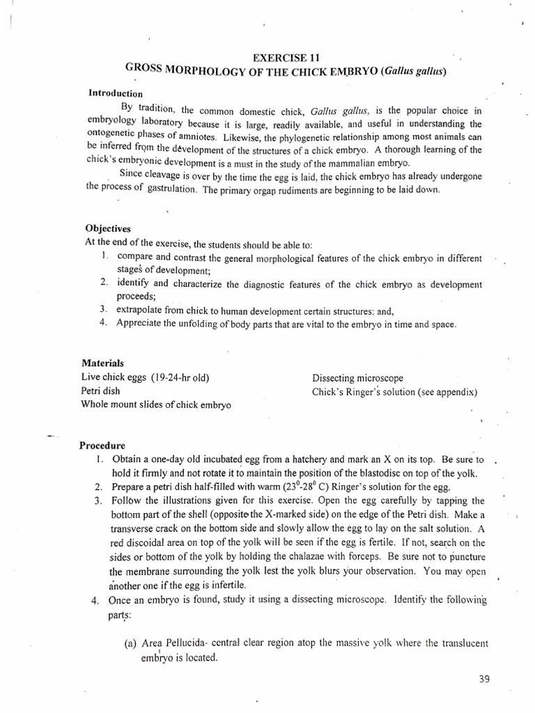 Exercise-11-Gross-Morphology-of-the-Chick-Embryo-Gallus-gallus (1).pdf ...