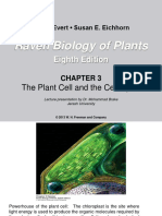 Raven Biology of Plants: Eighth Edition