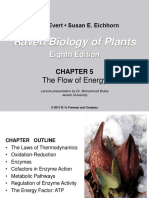 Raven Biology of Plants: Eighth Edition