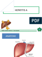 Ppt Hepatitis A