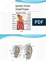 Embriologi Sistem Respirasi