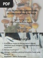 Download Studi Keanekaragaman Jenis Muhsroom Kawasan Taman Nasional Gunung Rinjani by Teguh Rianto SN43240246 doc pdf
