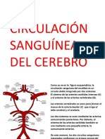 La Circulacion Cerebral