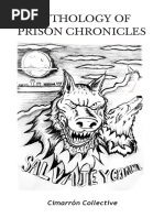 Mexico Prison Chronicles Read