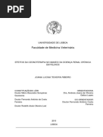 Efeitos Da Ozonoterapia No Maneio Da Doença Renal Crónica Em Felinos