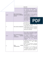 52 Areas Brodman y Sus Funciones