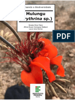 Pensando a biodiversidade: mulungu (Eritrhyna sp.)