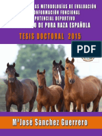 Desarrollo de Las Metodologías de Evaluación de La Conformación Funcional y Del Potencial Deportivo Del Caballo de Pura Raza Española