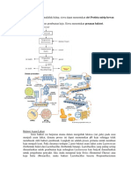 Pembahasan Kisi-Kisi Biologi Usbn