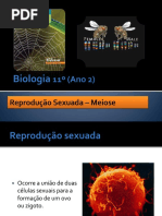Ppt14 Reproduosexuada Meiose 091214052813 Phpapp01