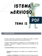 Tema sistemanervioso-.pdf