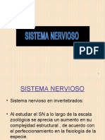 Sistema nervioso clase