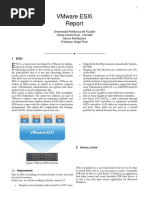 Vmware Esxi Report