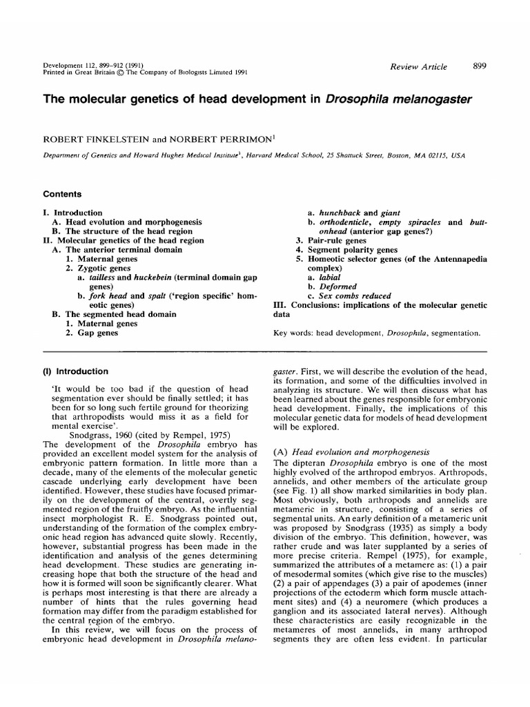The Molecular Genetics of Head Development in Drosophila Melanogaster ...