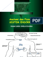 Anatomi Dan Fisiologi Endokrin