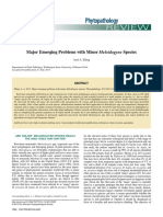 Major Emerging Problems With Minor Meloidogyne Species: Axel A. Elling