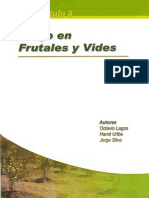 RIEGO EN FRUTALES Y VIDES.pdf