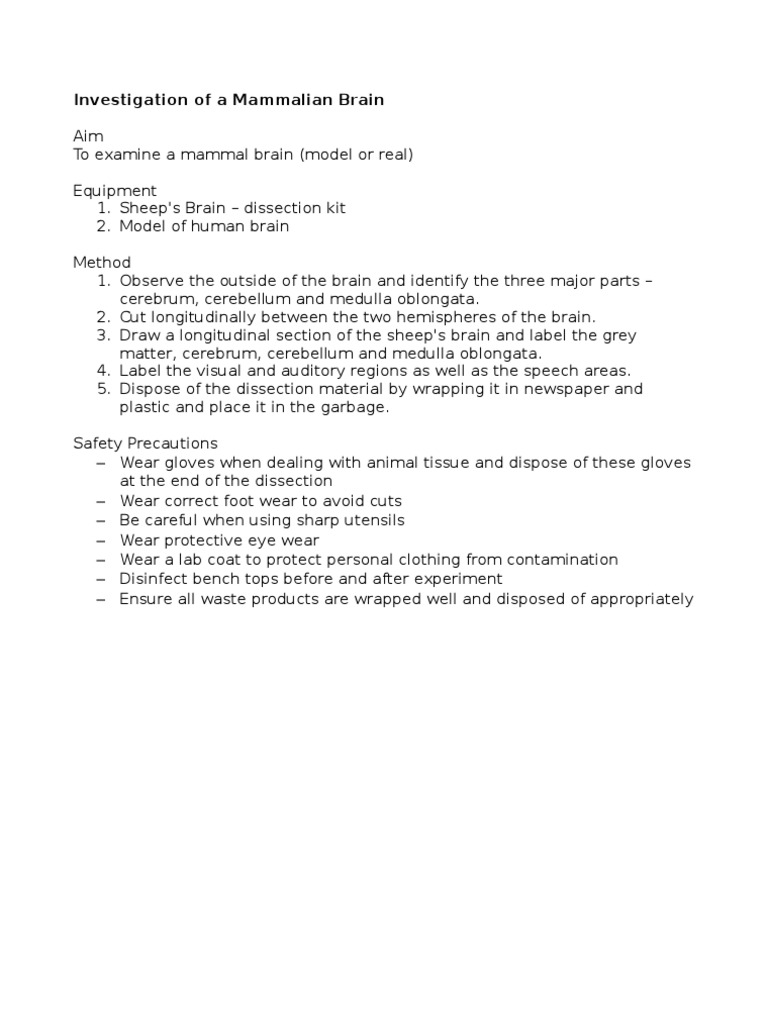 Mammalian Brain Dissection Guide | PDF | Science & Mathematics