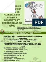 ALTERACIONES RENALES EN PEDIATRIA 2.pdf