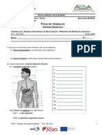 Ficha 2 - Sistema Digestivo