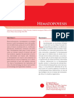 Hematopoyesis.pdf