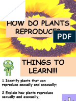 How Do Plants Reproduce