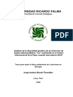 Tesis Biondi PDF