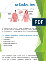 Sistema Endocrino - pdf23