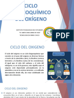 CICLO BIOGEOQUÍMICO DEL OXÍGENO.pptx