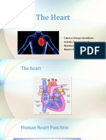 Heart-Group 3.pptx