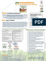 Phytoremediation Green Solutions for Environmental Pollution Poster