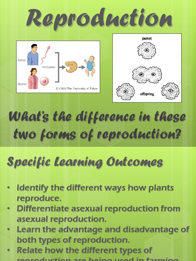 Asexual Sexual Reproduction PDF Sexual Reproduction Pollination