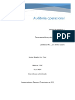 Características y Elementos Del Auditor