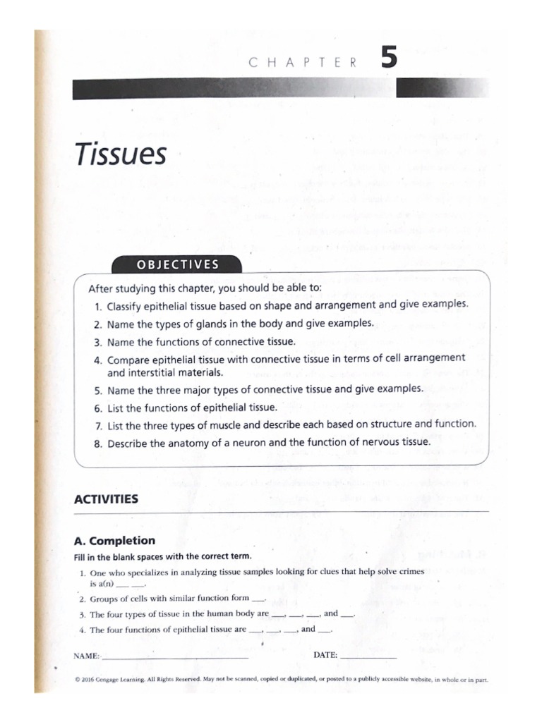 Science Activity | PDF